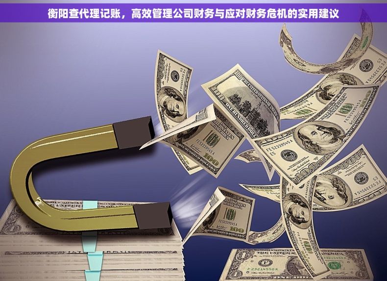 衡阳查代理记账，高效管理公司财务与应对财务危机的实用建议