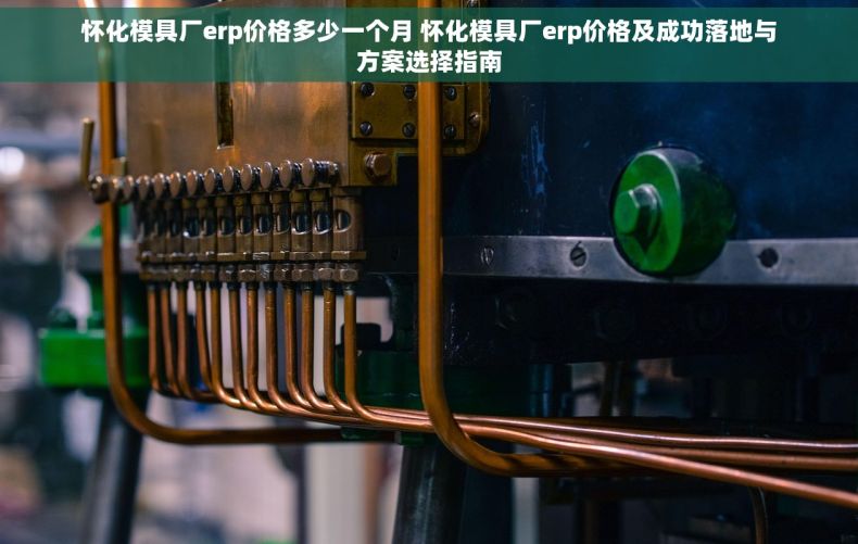 怀化模具厂erp价格多少一个月 怀化模具厂erp价格及成功落地与方案选择指南
