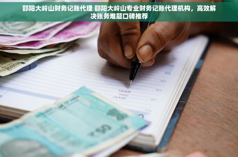 邵阳大岭山财务记账代理 邵阳大岭山专业财务记账代理机构，高效解决账务难题口碑推荐