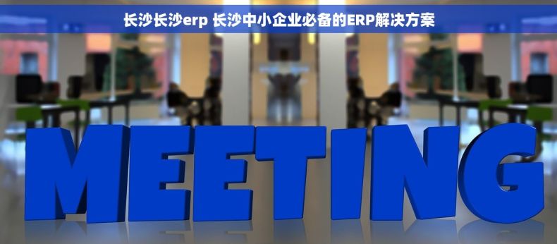 长沙长沙erp 长沙中小企业必备的ERP解决方案