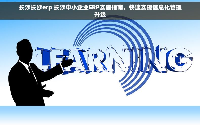 长沙长沙erp 长沙中小企业ERP实施指南，快速实现信息化管理升级