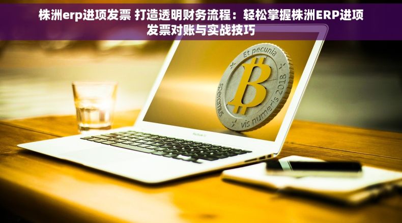 株洲erp进项发票 打造透明财务流程：轻松掌握株洲ERP进项发票对账与实战技巧