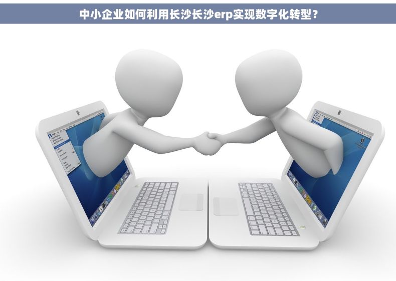 中小企业如何利用长沙长沙erp实现数字化转型？