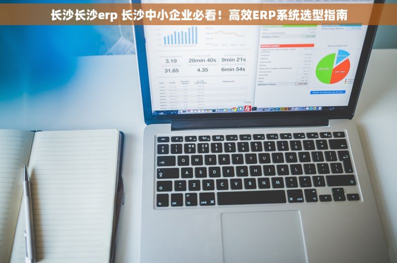 长沙长沙erp 长沙中小企业必看！高效ERP系统选型指南