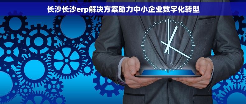 长沙长沙erp解决方案助力中小企业数字化转型