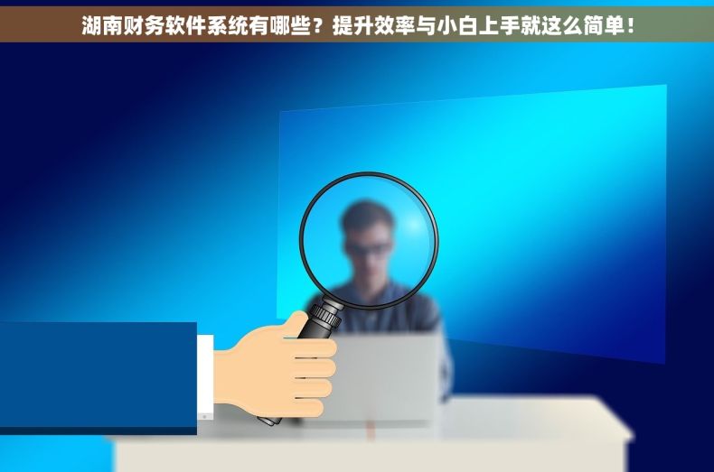 湖南财务软件系统有哪些？提升效率与小白上手就这么简单！