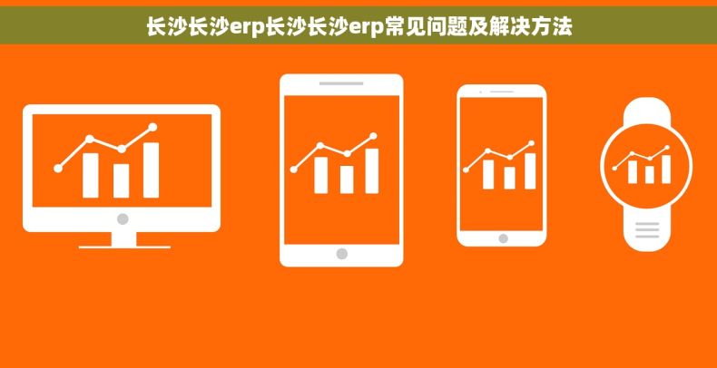 长沙长沙erp长沙长沙erp常见问题及解决方法