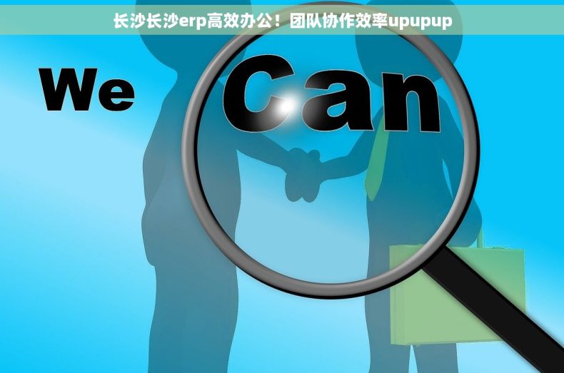 长沙长沙erp高效办公！团队协作效率upupup