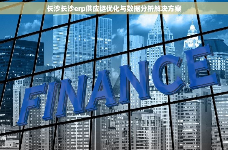 长沙长沙erp供应链优化与数据分析解决方案