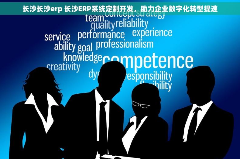 长沙长沙erp 长沙ERP系统定制开发，助力企业数字化转型提速