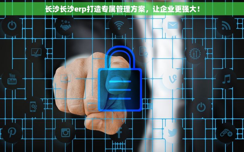 长沙长沙erp打造专属管理方案，让企业更强大！