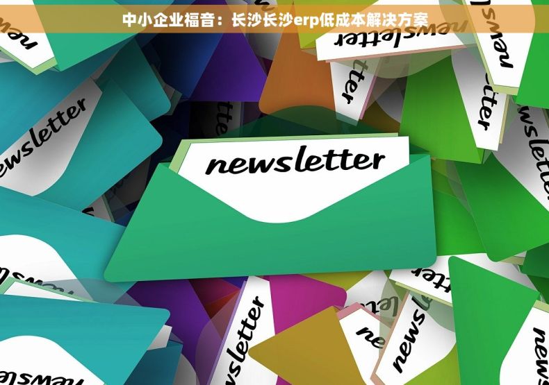 中小企业福音：长沙长沙erp低成本解决方案