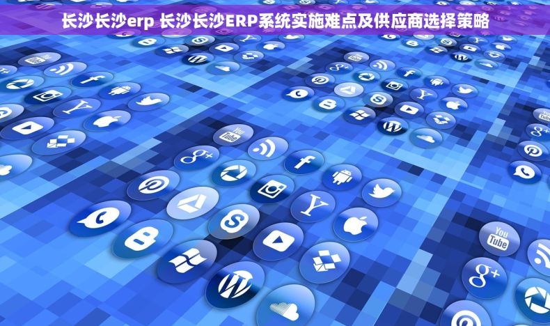 长沙长沙erp 长沙长沙ERP系统实施难点及供应商选择策略