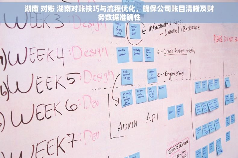 湖南 对账 湖南对账技巧与流程优化，确保公司账目清晰及财务数据准确性