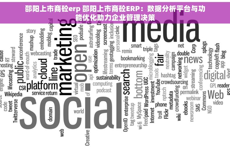 邵阳上市商砼erp 邵阳上市商砼ERP：数据分析平台与功能优化助力企业管理决策