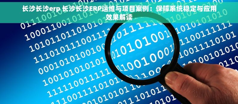 长沙长沙erp 长沙长沙ERP运维与项目案例：保障系统稳定与应用效果解读