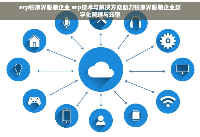 erp张家界服装企业 erp技术与解决方案助力张家界服装企业数字化管理与转型