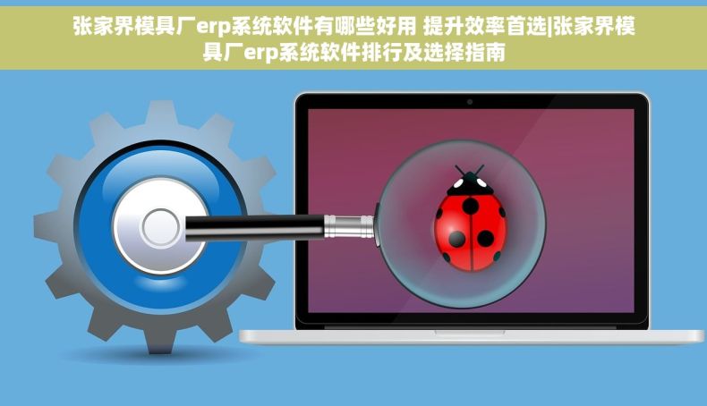 张家界模具厂erp系统软件有哪些好用 提升效率首选|张家界模具厂erp系统软件排行及选择指南