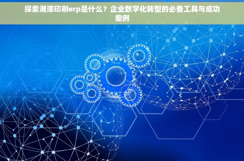探索湘潭印刷erp是什么？企业数字化转型的必备工具与成功案例