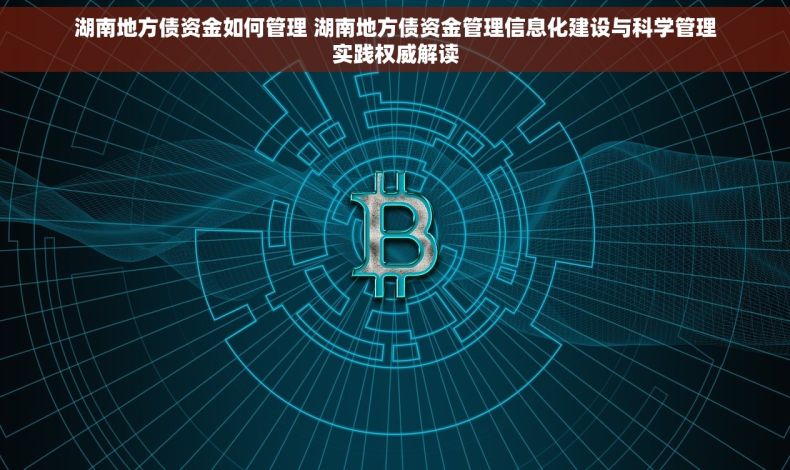 湖南地方债资金如何管理 湖南地方债资金管理信息化建设与科学管理实践权威解读