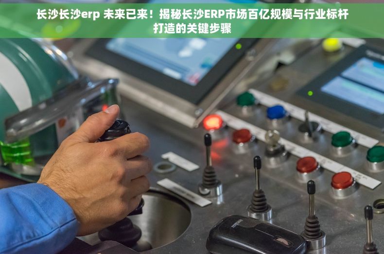 长沙长沙erp 未来已来！揭秘长沙ERP市场百亿规模与行业标杆打造的关键步骤
