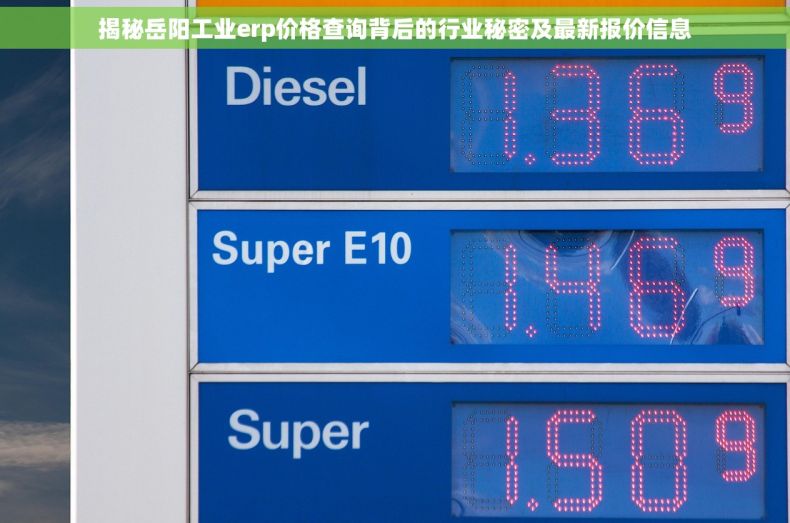 揭秘岳阳工业erp价格查询背后的行业秘密及最新报价信息
