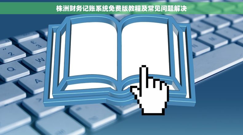株洲财务记账系统免费版教程及常见问题解决