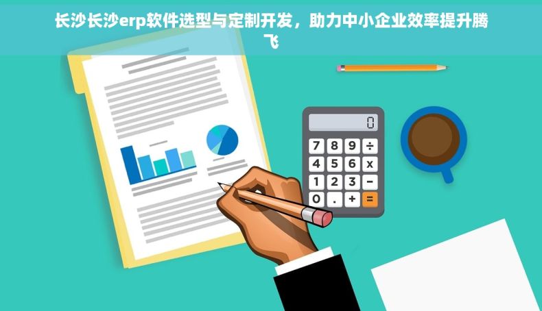 长沙长沙erp软件选型与定制开发，助力中小企业效率提升腾飞