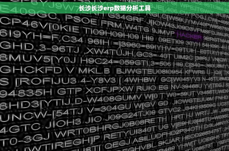 长沙长沙erp数据分析工具