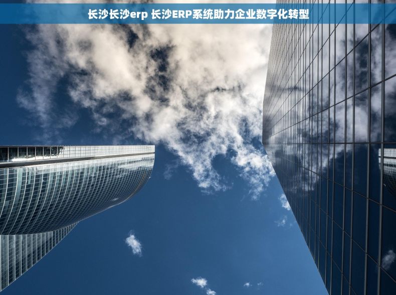 长沙长沙erp 长沙ERP系统助力企业数字化转型
