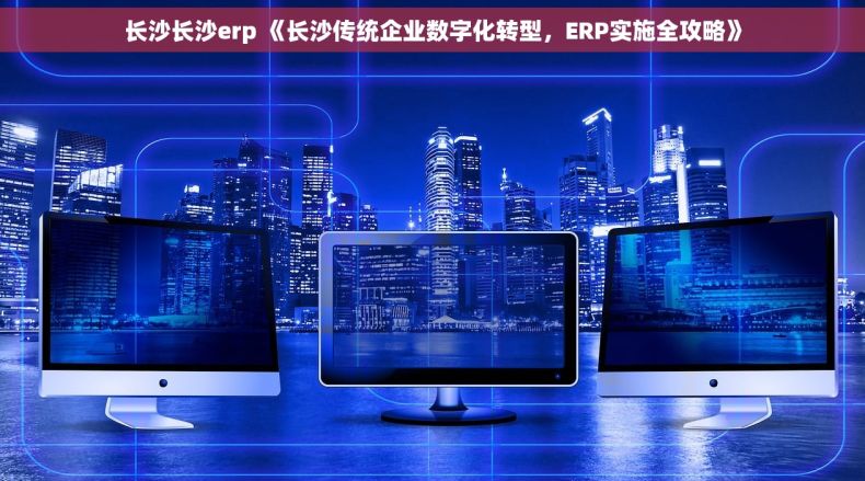 长沙长沙erp 《长沙传统企业数字化转型，ERP实施全攻略》