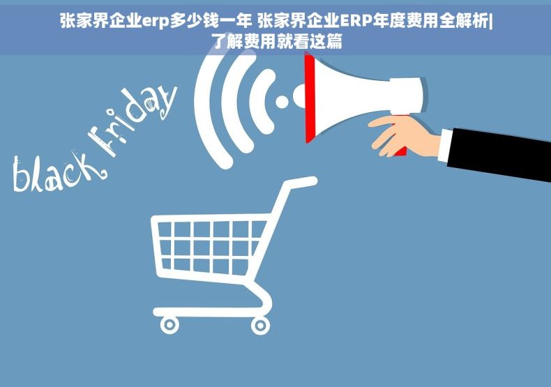 张家界企业erp多少钱一年 张家界企业ERP年度费用全解析|了解费用就看这篇