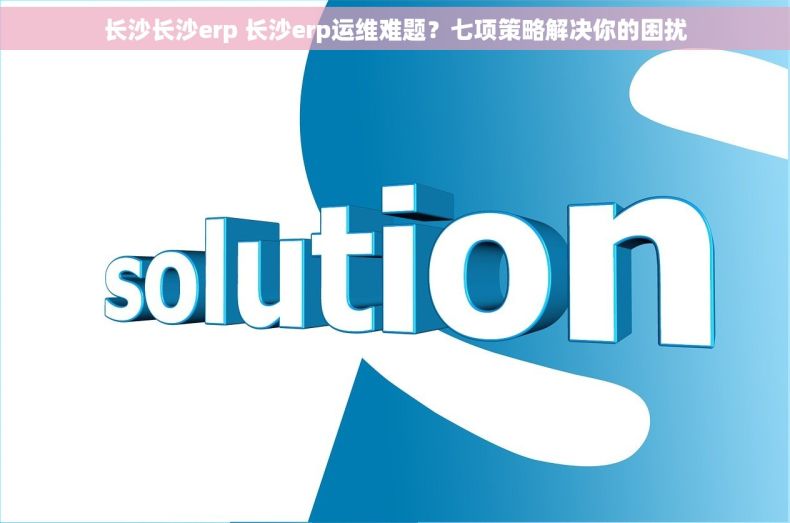 长沙长沙erp 长沙erp运维难题？七项策略解决你的困扰