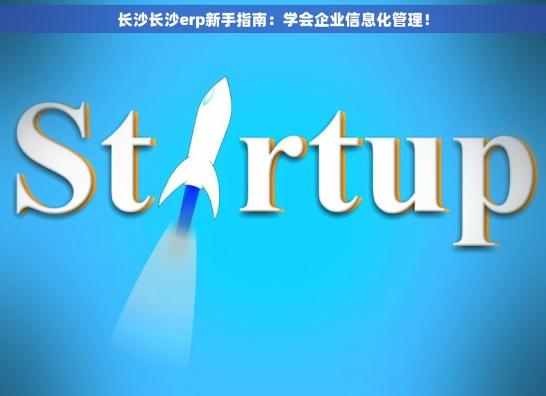 长沙长沙erp新手指南：学会企业信息化管理！