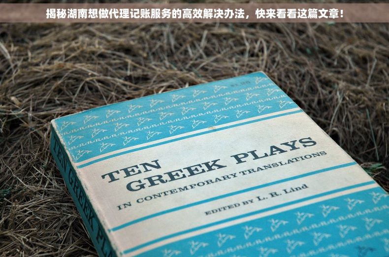 揭秘湖南想做代理记账服务的高效解决办法，快来看看这篇文章！