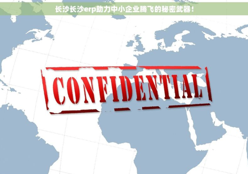 长沙长沙erp助力中小企业腾飞的秘密武器！