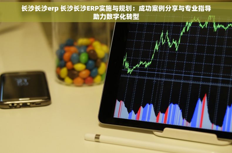 长沙长沙erp 长沙长沙ERP实施与规划：成功案例分享与专业指导助力数字化转型