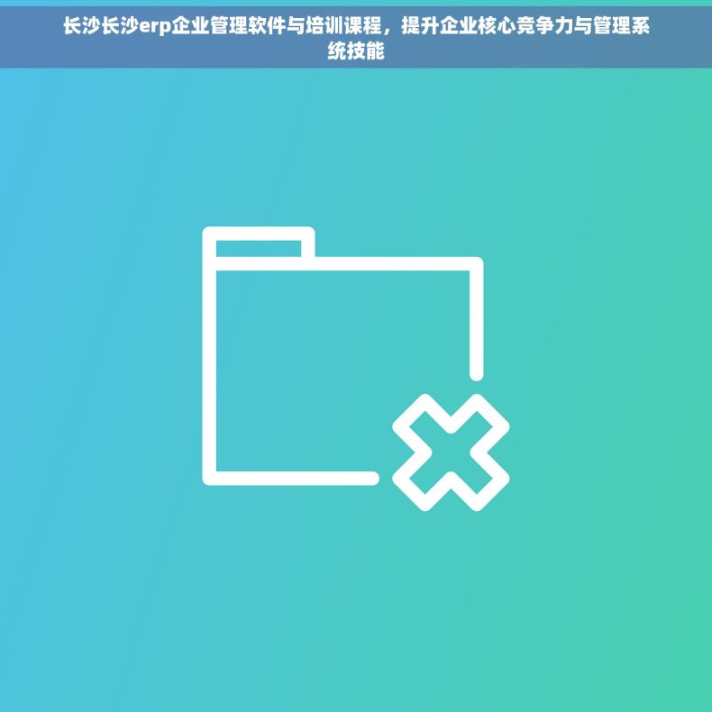 长沙长沙erp企业管理软件与培训课程，提升企业核心竞争力与管理系统技能