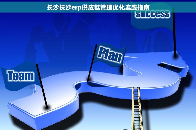 长沙长沙erp供应链管理优化实践指南