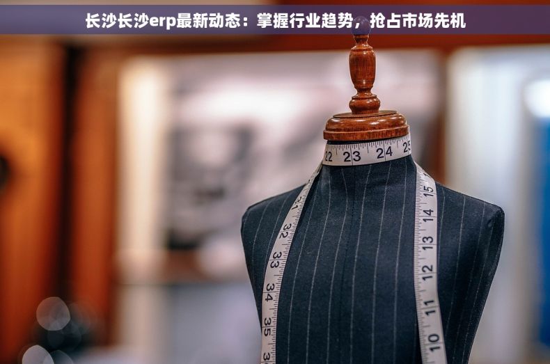 长沙长沙erp最新动态：掌握行业趋势，抢占市场先机