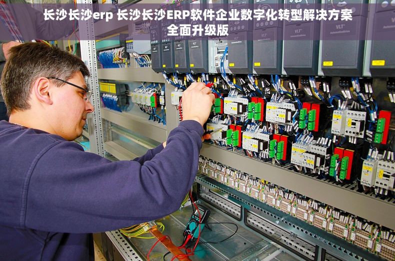 长沙长沙erp 长沙长沙ERP软件企业数字化转型解决方案全面升级版