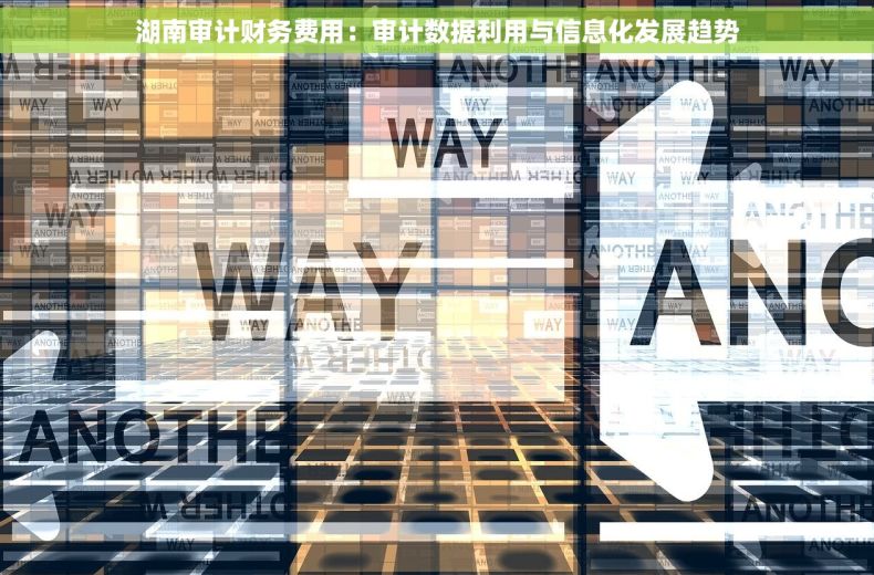 湖南审计财务费用：审计数据利用与信息化发展趋势