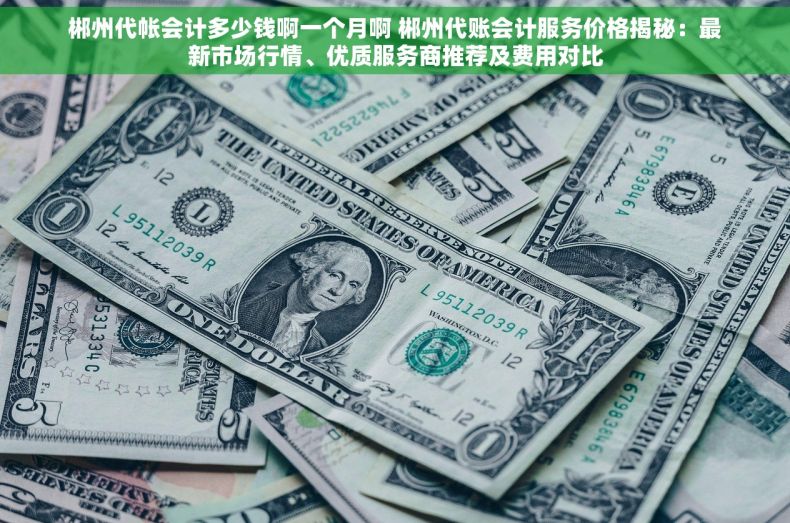 郴州代帐会计多少钱啊一个月啊 郴州代账会计服务价格揭秘：最新市场行情、优质服务商推荐及费用对比