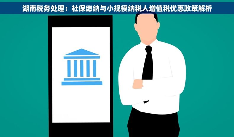 湖南税务处理：社保缴纳与小规模纳税人增值税优惠政策解析