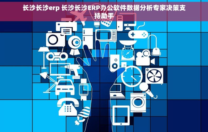 长沙长沙erp 长沙长沙ERP办公软件数据分析专家决策支持助手
