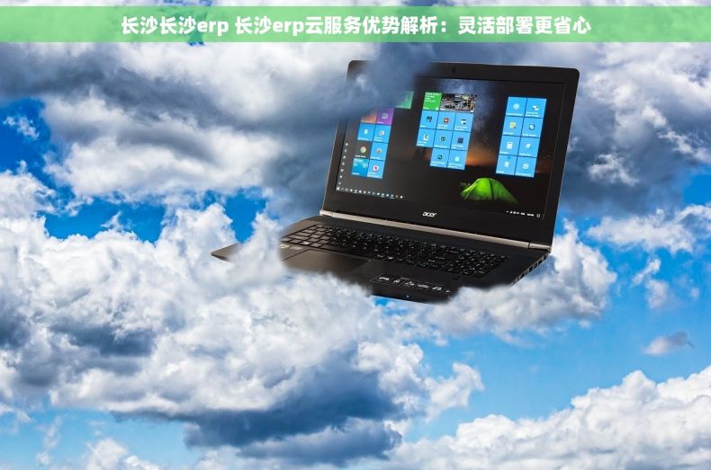 长沙长沙erp 长沙erp云服务优势解析：灵活部署更省心