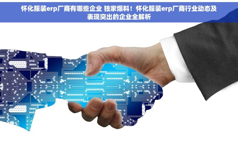 怀化服装erp厂商有哪些企业 独家爆料！怀化服装erp厂商行业动态及表现突出的企业全解析