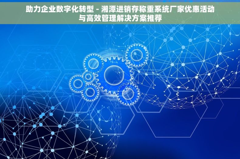 助力企业数字化转型 - 湘潭进销存称重系统厂家优惠活动与高效管理解决方案推荐