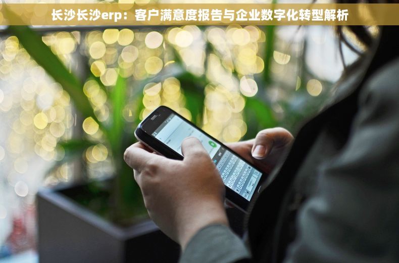 长沙长沙erp：客户满意度报告与企业数字化转型解析