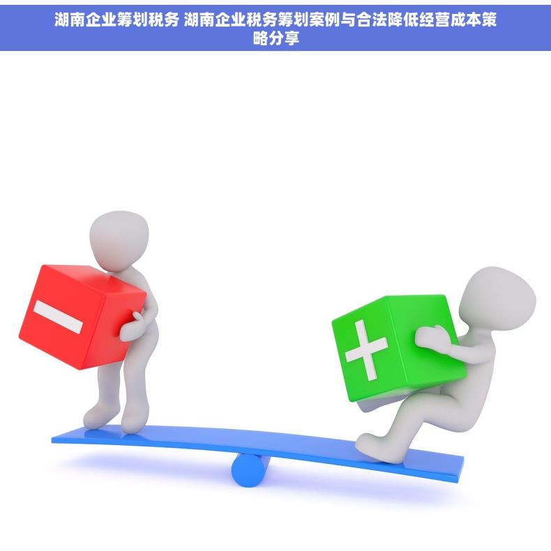 湖南企业筹划税务 湖南企业税务筹划案例与合法降低经营成本策略分享